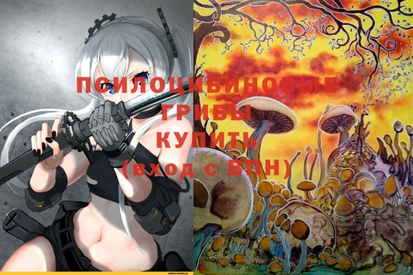 прущая мука Приозерск