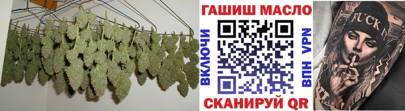 Купить закладки  Цоци-Юрт  ТГК гашишное масло 